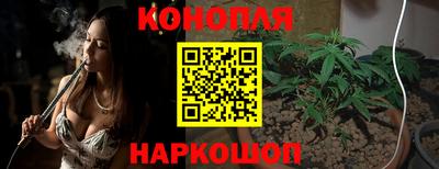 крисы Аша