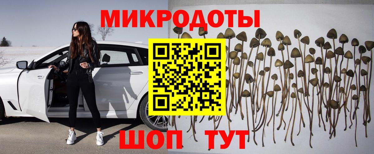 Галлюциногенные грибы Psilocybine cubensis Добрянка